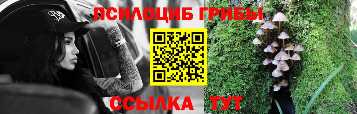 Псилоцибиновые грибы MAGIC MUSHROOMS  Вход с VPN  Озёрск 