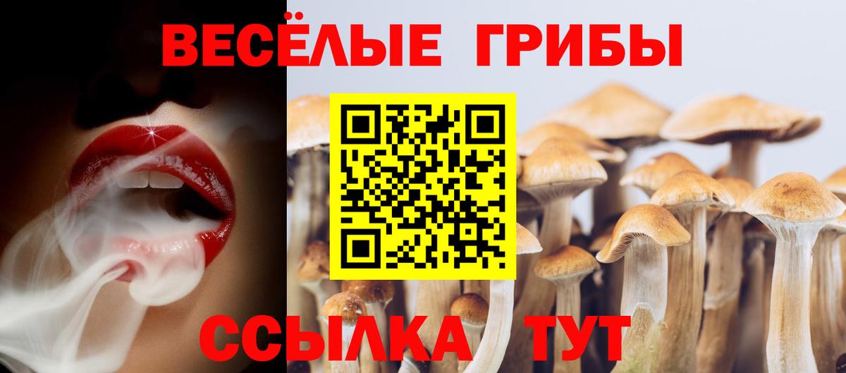 Псилоцибиновые грибы MAGIC MUSHROOMS Озёрск